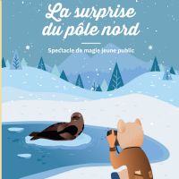 La surprise du Pôle Nord par la Cie Fabulouse. Le dimanche 22 décembre 2019 à Montauban. Tarn-et-Garonne.  17H00